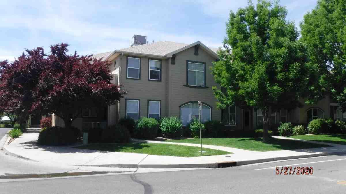 Mesa County Assessor Parcel Report