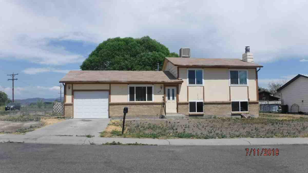 Mesa County Assessor Parcel Report