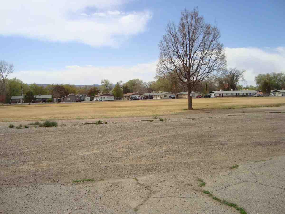 Mesa County Assessor Parcel Report